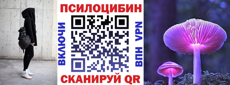 как найти закладки  мега как зайти  Галлюциногенные грибы мухоморы  Берёзовка 
